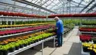 تجربة مشتل نباتات زراعية زينة تجربتي مع التكلفة والربح