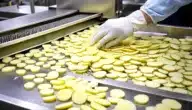 مشروع تقطيع البطاطس إلى شرائح وتعبئتها وتجميدها وتوزيعها على المطاعم والمحلات